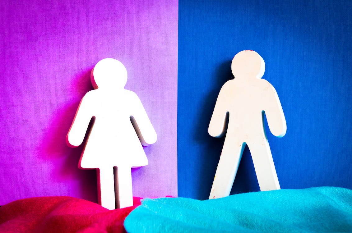 gender roles persuasive essay